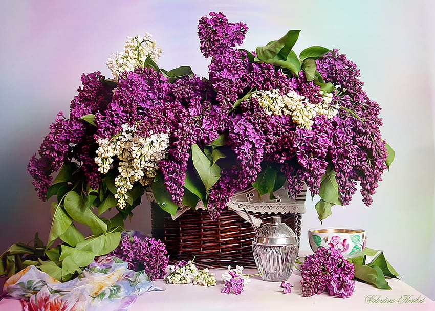 still life, bouquet, spring, nice, glass, perfume, still, white, fabric, vase, cup, purple, leaves, porcelain, lilac, harmony, graphy, green leaves, lilacs, floral, basket, , water, table, elegantly, beautiful, arrangement, bottle, wicker, cool, flowers, scarf, cut HD wallpaper