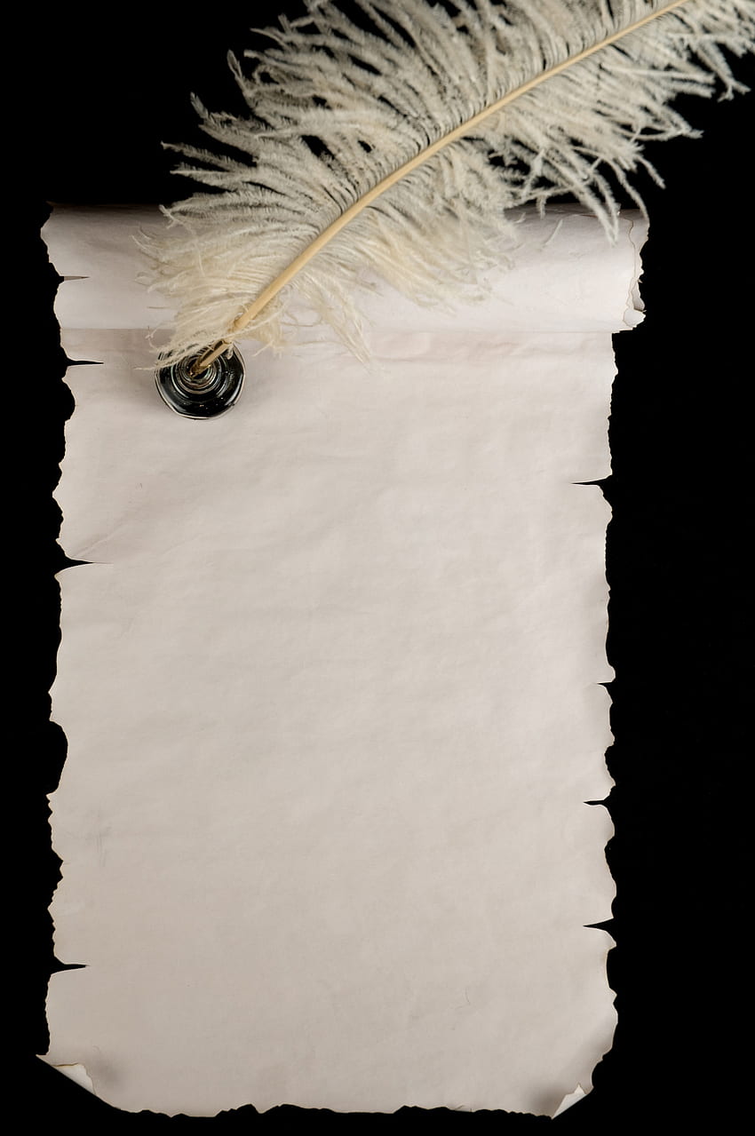 Feather pen and scrolls 6413 - Books and articles, Quill Pen HD phone wallpaper