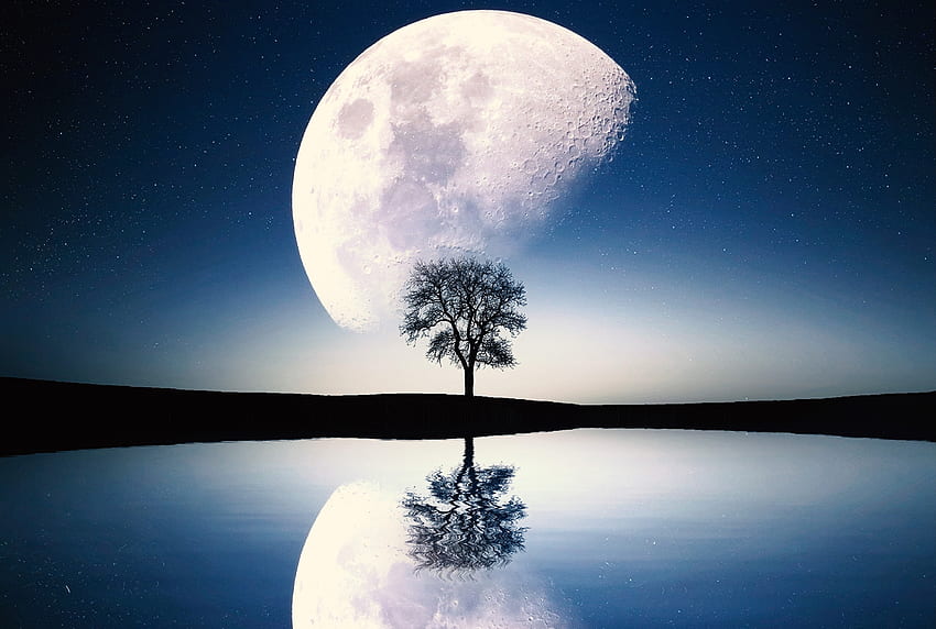 Moon, tree, lake, reflections, silhouette, art HD wallpaper
