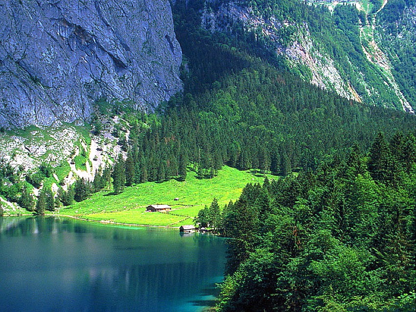 Beautiful View, trees, view, cool, beautiful, mountains, lake HD wallpaper