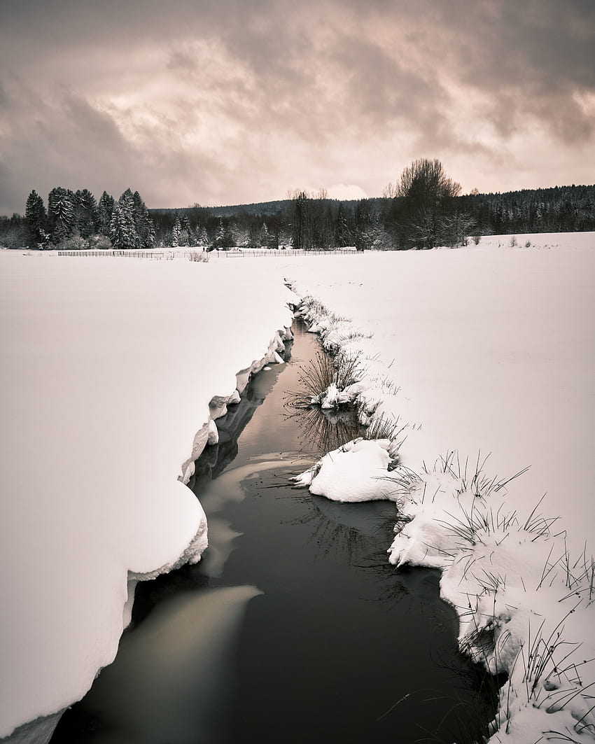 Winter, Nature, Trees, Snow, Field, Creek, Brook HD phone wallpaper