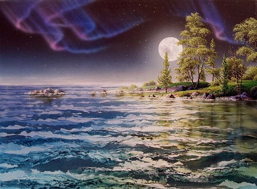 Night display, night, moon, phenomenal, sky, nature, lake HD wallpaper
