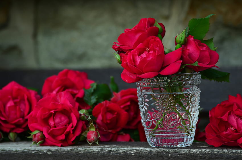 Kwiaty, róże, płatki, bukiet, wazon Tapeta HD