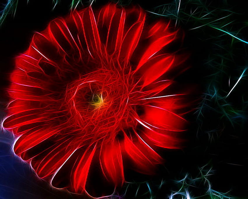 Fleur pour Fran, abstrait, fond noir, coquelicot, rouge, fractale Fond d'écran HD