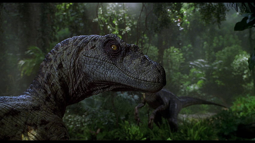 Velociraptor, Jurassic Park 4 Wallpaper HD