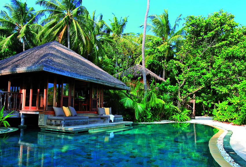 Serene Tropical Pool, ada, mavi, palm, tropikal, ağaçlar, özel, adalar, yüzme, kaçış, lüks, yalnız, egzotik, otel, cennet, villa, inziva, güney pasifik, yeşil, spa, havuz, polinezya HD duvar kağıdı