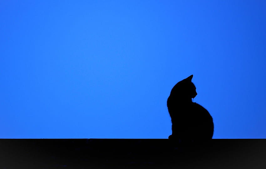 Gato preto minimalista, silhueta de gato papel de parede HD
