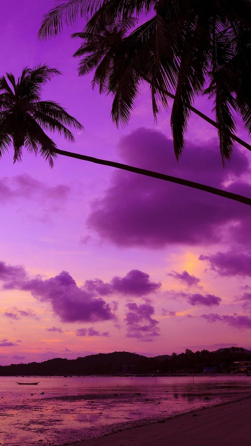 Purpurowe Palmy, Purpurowa Plaża Tapeta na telefon HD