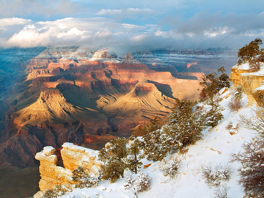 Invierno, Naturaleza, Árboles, Montañas, Nieve, Altura, Cañones, Arizona fondo de pantalla