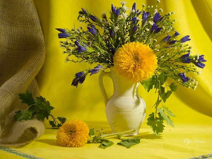 Radiance, sunny, va, beautiful, silk, purple, still life, petals, yellow, flowers HD wallpaper
