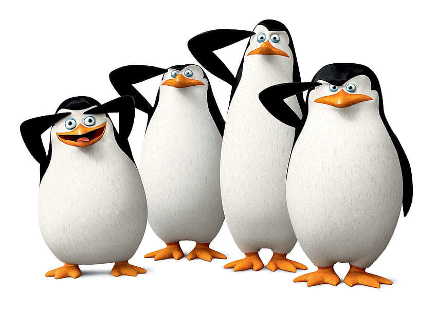 マダガスカルのペンギン、マダガスカル、敬礼、ペンギン、鳥 高画質の壁紙