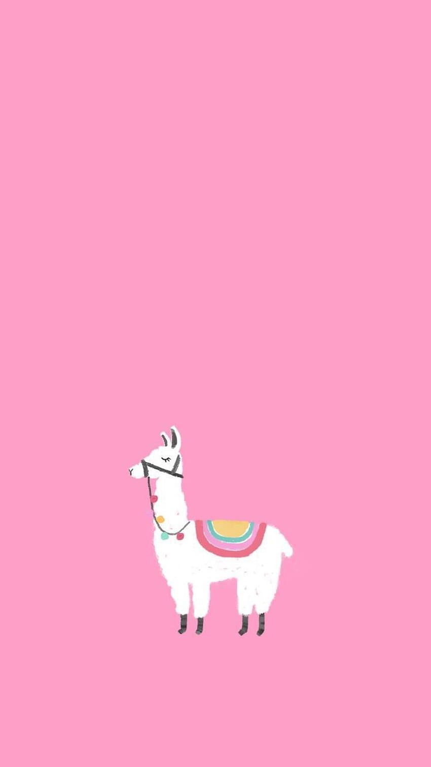 Llama Party Ideas Cartoon Llamas Hd Phone Wallpaper Pxfuel