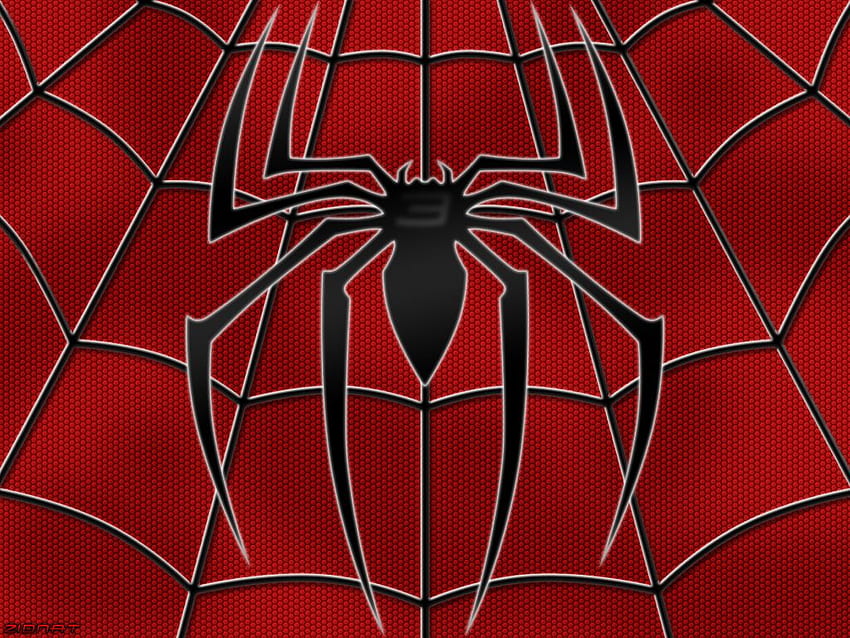 Spider-Man 3, Spider-Man Web Tapeta HD
