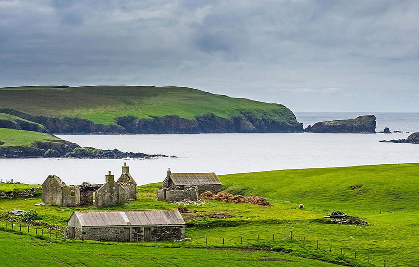 sea, Scotland, Shetland Islands, old farm HD wallpaper