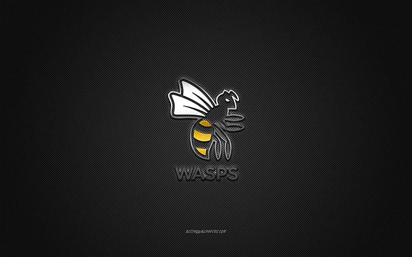 Wasps RFC, English rugby club, silver logo, gray carbon fiber background, Super League, rugby, Northampton, England, Wasps RFC logo HD wallpaper
