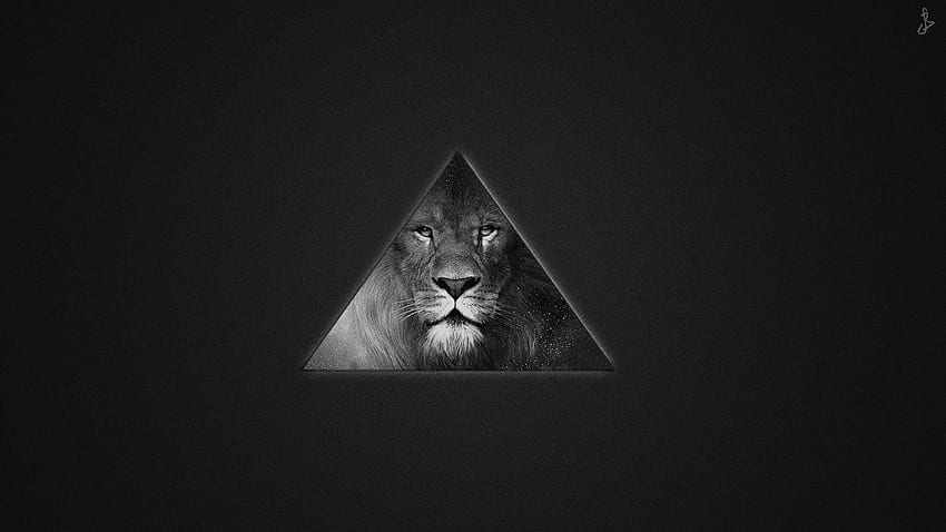 Texture, Lion, Predator HD wallpaper
