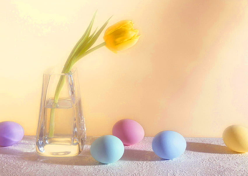 Une touche de Pâques, bleu, oeufs pastel, tulipe, rose, jaune, pâques, mauve Fond d'écran HD