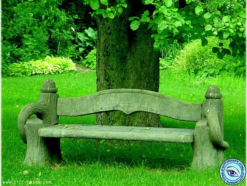 Garden Bench, bench, yard, graphy, green, trees, garden HD wallpaper
