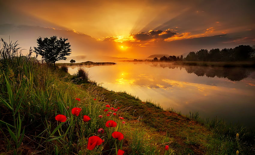 Matahari terbenam di sungai, sungai, bunga liar, pantulan, lereng, langit, indah, berapi-api, matahari terbenam, oranye Wallpaper HD