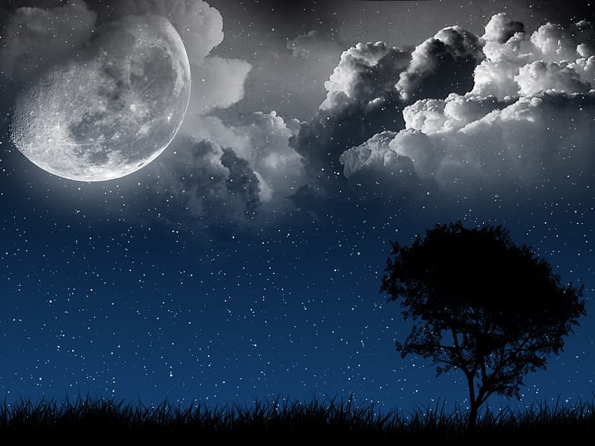 Midnight Moonlight, moon, clouds, sky, stars, tree HD wallpaper