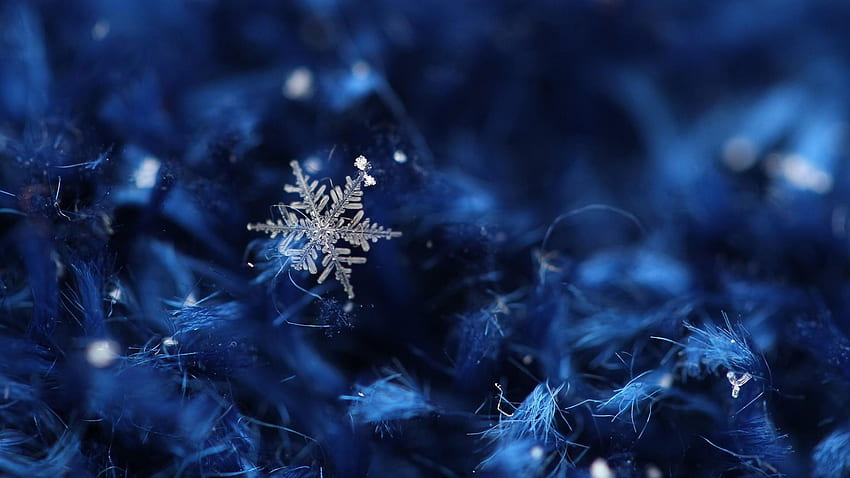 Cristales de hielo de nieve de invierno fondo de pantalla