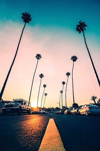 Cities, Sunset, Palms, Cars, Road, Markup, Street HD phone wallpaper ...