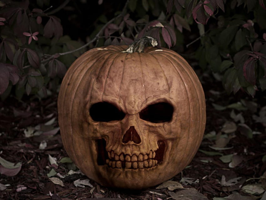 Halloween, Tricks, Calabaza, Terror HD-Hintergrundbild