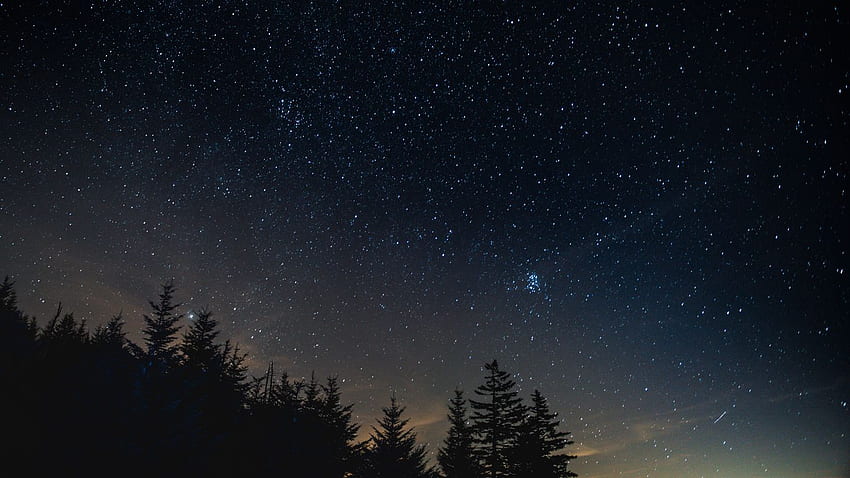 starry sky, night, trees, night landscape tablet, laptop background HD wallpaper