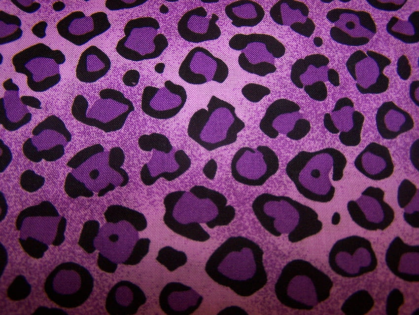 Purple Cheetah , Purple Bandana HD wallpaper