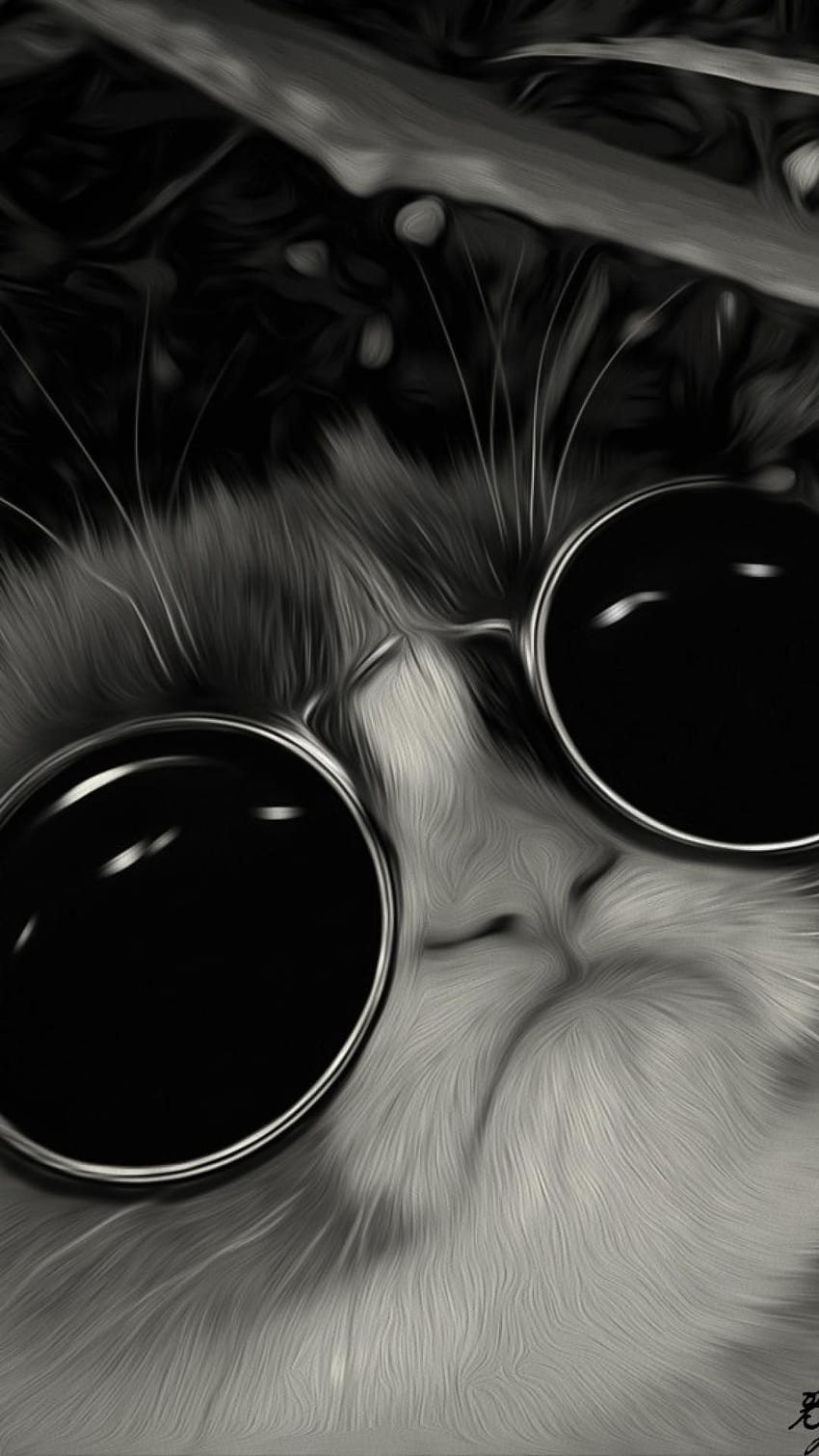 안경 고양이 은하 HD 전화 배경 화면