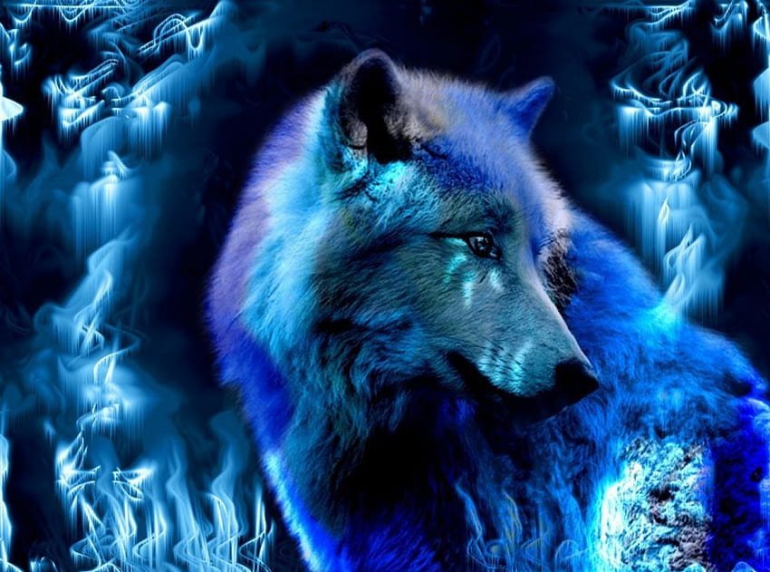 Werewolf, animal, digital art, wolf, art HD wallpaper