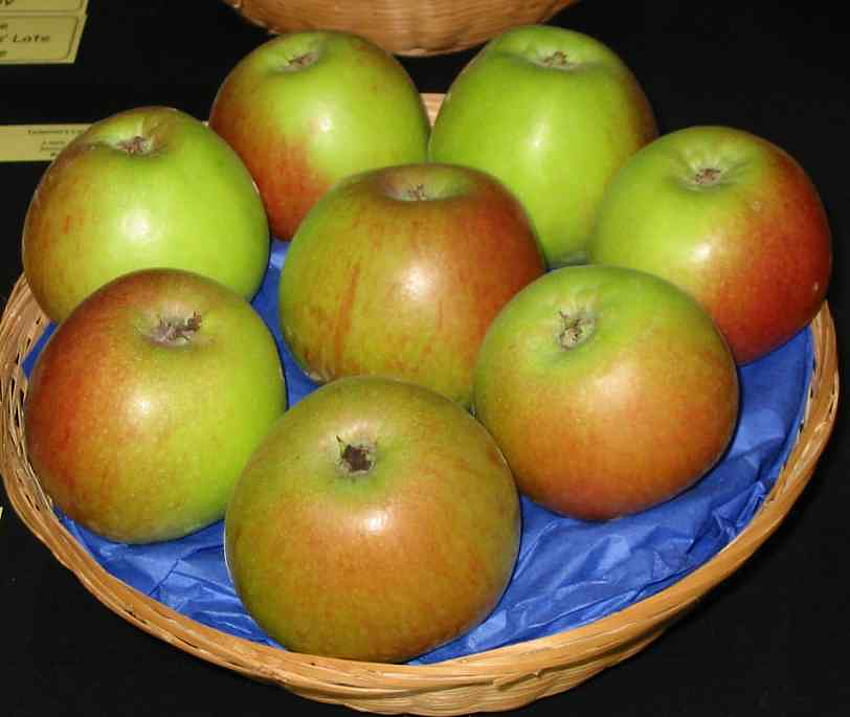 Yummy Apples, healthy, fruit, apples, food HD wallpaper