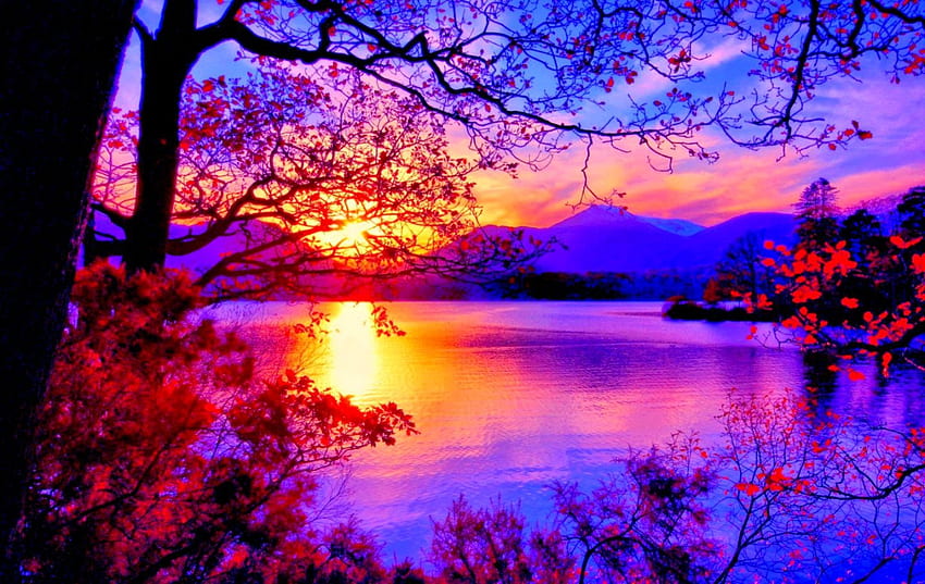 Beautiful Scenery - Beautiful Scenery, Scenic HD wallpaper