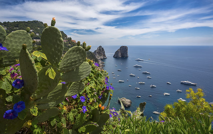 Capri, Italy, Sea, Crag. Mocah, Capri Island HD wallpaper