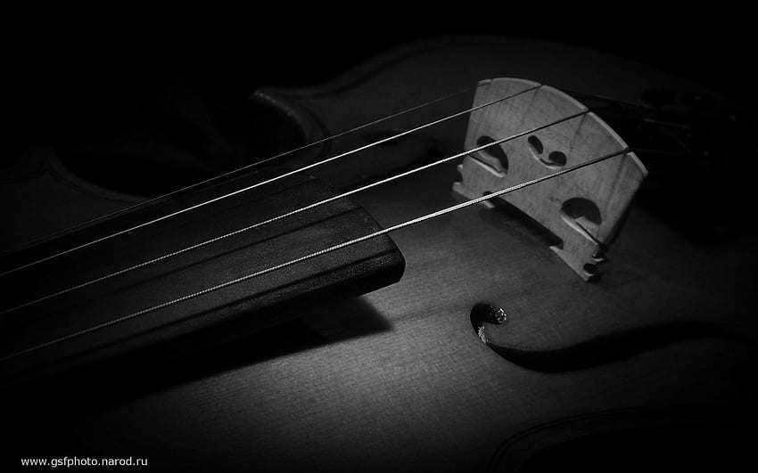 Black and white violin HD wallpapers | Pxfuel