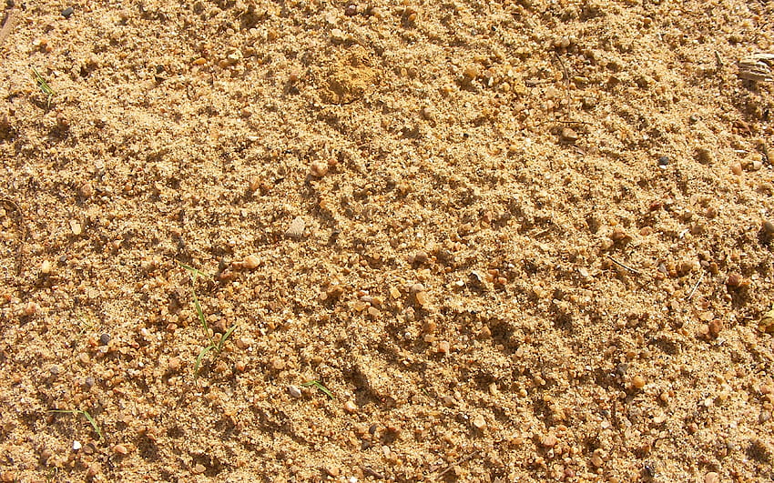 tekstur pasir, , makro, tekstur alami, latar belakang pasir, latar belakang dengan pasir Wallpaper HD