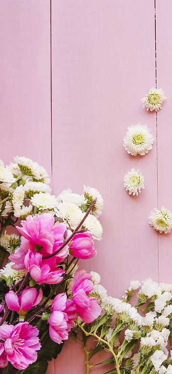 HD pink flowers wallpapers  Peakpx