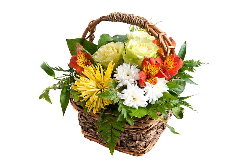bouquet, graphy, rose, elegantemente, bello, bello, cesto, fiore, fresco, fiori, crisantemi, , armonia Sfondo HD