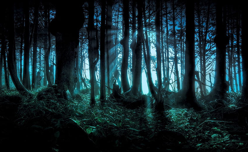 Bosque oscuro y espeluznante., Bosque oscuro y aterrador fondo de pantalla