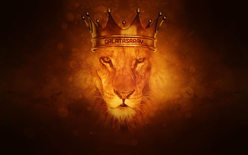 Narnia Background. Narnia, Aslan HD wallpaper | Pxfuel