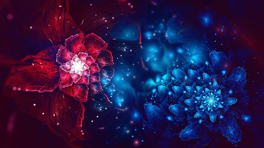 Red Blue Flowers, Fractal, Digital Art, , , Background, Eecfaa HD wallpaper