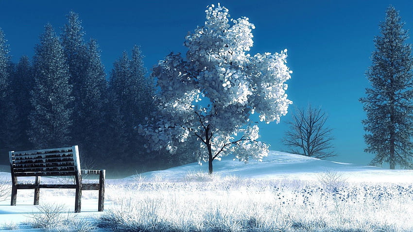 Pemandangan, Musim Dingin, Alam, Pohon, Salju, Bangku Wallpaper HD