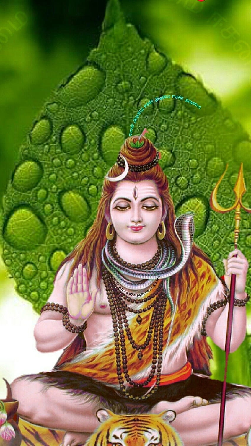 Lord Shiva Live, fond de feuille verte Fond d'écran de téléphone HD