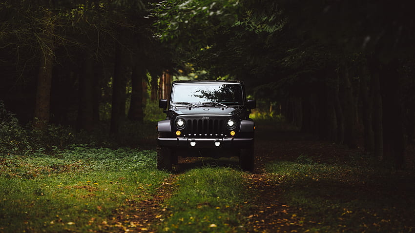 black jeep, forest, jeep wrangler, , u 16:9, , , background, 2165 HD wallpaper