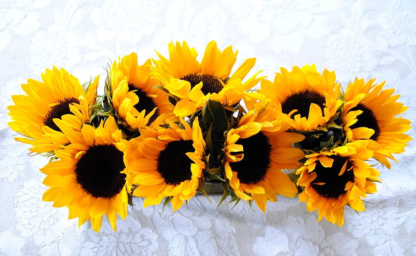 Flowers, Sunflowers, Cloth, Composition HD wallpaper