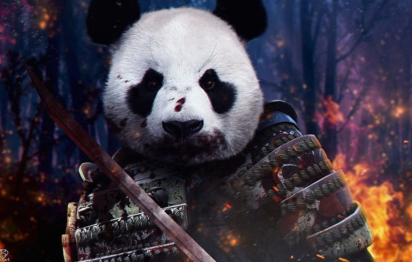senjata, api, api, perang, darah, katana, Jepang, prajurit, samurai, Panda, baju besi, menarik, prajurit kuno untuk , bagian разное, Samurai Panda Wallpaper HD