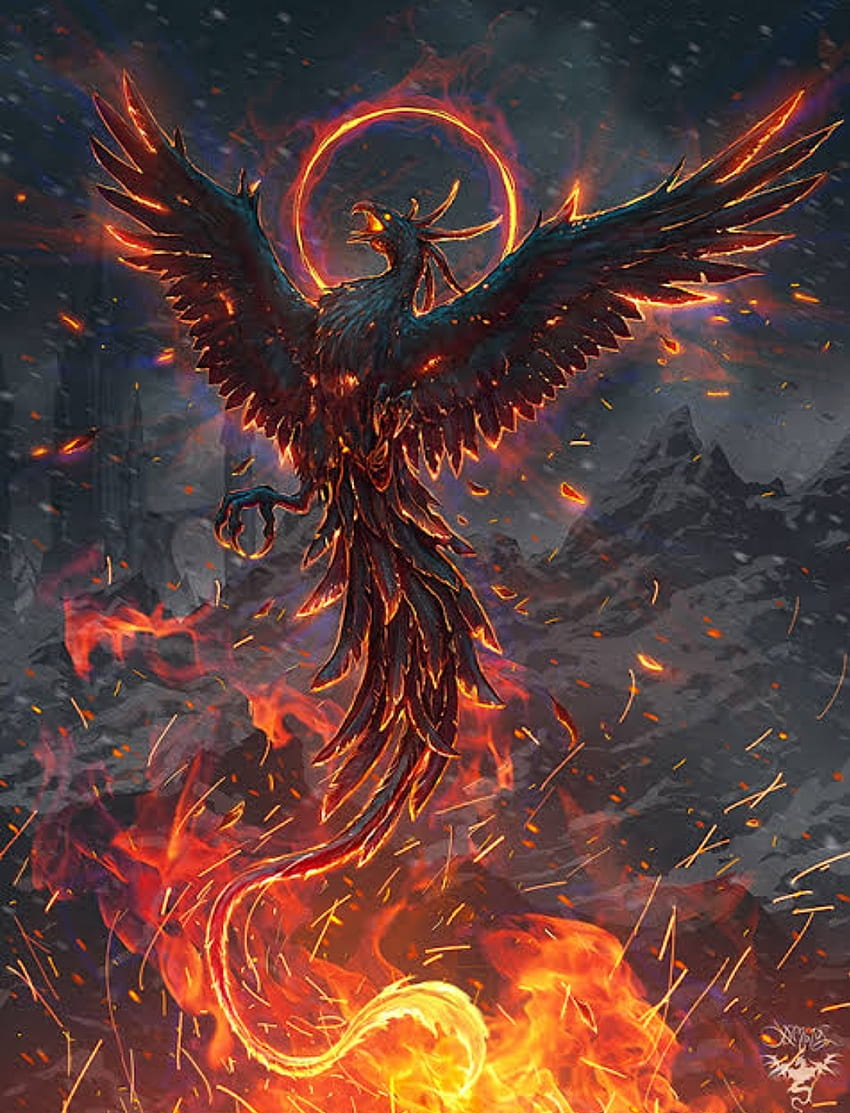 Oiseau de feu dragon, chaleur, rouge, oiseau dragon Fond d'écran de téléphone HD