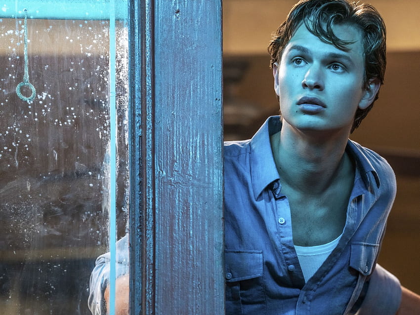 Video of Ansel Elgort Booed During 'West Side Story' Screening Goes Viral HD wallpaper