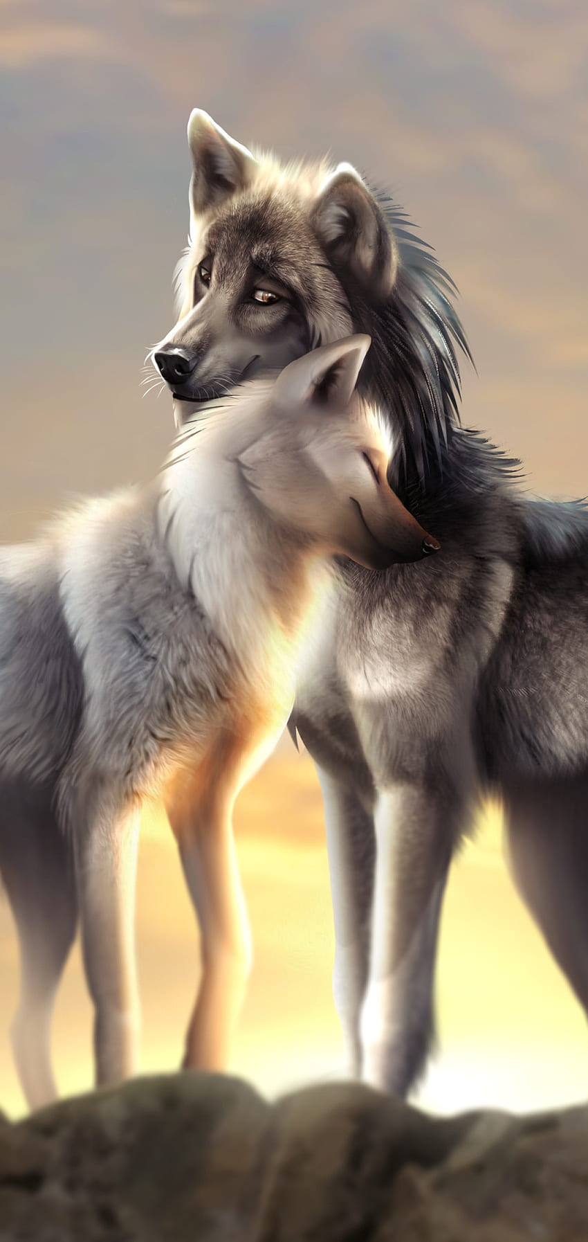 Wolf - Top 75 Best Wolf Background, Cute Drawn Wolf HD phone wallpaper