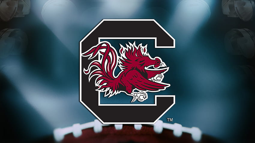 Gamecocks Announce Football Mini Plans And Seat Selection Details, South Carolina Gamecocks HD wallpaper